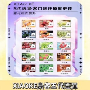 梟客五代煙彈|XIAOKE可替換式電子煙|通用Relx6代|ILIA五代主機